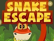 Play Snake Escape Game on FOG.COM