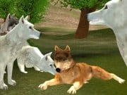 Play Wild Wolves Hunger Attack Game on FOG.COM