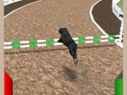 Play Dog Racing Simulator Game on FOG.COM