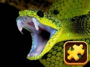 Play Snake Puzzle Challenge Game on FOG.COM