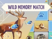 Play Wild Memory Game on FOG.COM