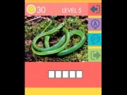 Play Picture Quiz Game on FOG.COM