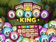 Play Bingo King Game on FOG.COM