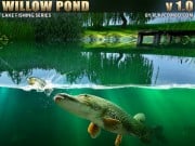 Play Willow Pond Fishing Game on FOG.COM