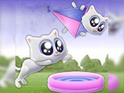 Play Extreme Kitten Game on FOG.COM