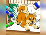 Play Color Me Pets 2 Game on FOG.COM