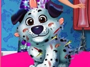 Play Frozen Anna Dog Care Game on FOG.COM