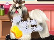 Play Paws To Beauty 2 Game on FOG.COM