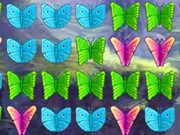 Play Butterfly Collector Game on FOG.COM