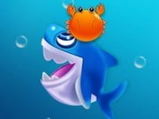 Play Shark Dash Game on FOG.COM