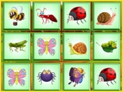 Play Find the Insect Game on FOG.COM