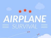 Play Airplane Survival Game on FOG.COM