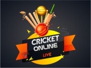 Play Cricket Online Game on FOG.COM