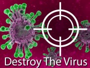 Play Destroy The Virus Game on FOG.COM