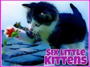 Play Six Little Kittens Game on FOG.COM