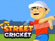Play Street Cricket Game on FOG.COM