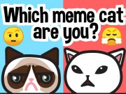 Play Which meme cat are you? Game on FOG.COM