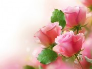 Play Pink Roses Puzzle Game on FOG.COM