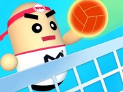 Play 3D Amazing VolleyBall Game on FOG.COM