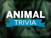 Play Animal Trivia Game on FOG.COM