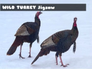 Play Wild Turkey Jigsaw Game on FOG.COM