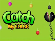 Play Catch My Color Game on FOG.COM