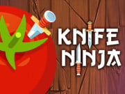 Play Knife Shadow Ninja  Game on FOG.COM