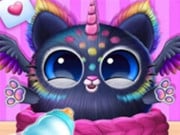 Play The Cutest Squishy Pet - My Cute House Pet Game on FOG.COM