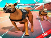 Play Crazy Dog Race Game on FOG.COM