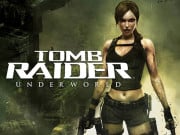 Play Tomb Raider Game on FOG.COM