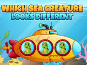 Play Which Sea Creature Looks Different Game on FOG.COM