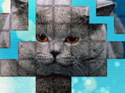 Play PicPu - Cat Puzzle Game on FOG.COM