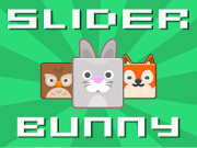 Play Slider Bunny Game on FOG.COM