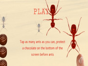 Play Smash All Ants Game on FOG.COM