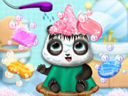 Play Panda Baby Bear Care Game on FOG.COM