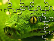 Play Snakes Jigsaw Puzzle Game on FOG.COM