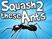 Play Squash These Ants 2 Game on FOG.COM