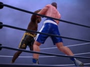 Play Ultimate Boxing - The Boxing King Game on FOG.COM