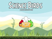 Play Science Birds Game on FOG.COM