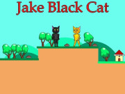 Play Jake Black Cat Game on FOG.COM