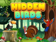 Play Hidden Birds Game on FOG.COM