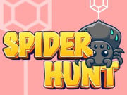 Play Spider Hunt Game on FOG.COM