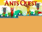 Play Ants Quest Game on FOG.COM