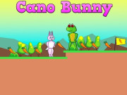 Play Cano Bunny Game on FOG.COM