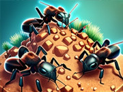 Play Ant Colony Game on FOG.COM