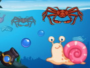 Play Crab Shooter Game on FOG.COM