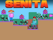 Play Senita Game on FOG.COM