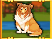 Play Bernese Mountain Dog Escape Game on FOG.COM