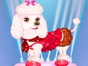 Play My Cute Dog Daisy Game on FOG.COM