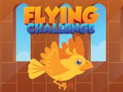 Play Flying Challenge Game on FOG.COM
